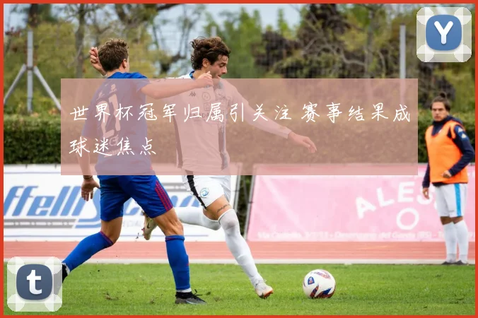 世界杯冠军归属引关注 赛事结果成球迷焦点