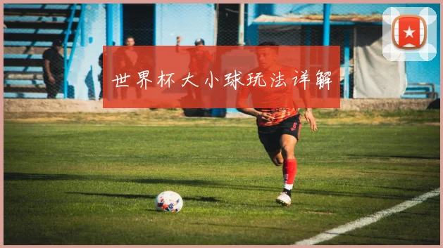 世界杯大小球玩法详解