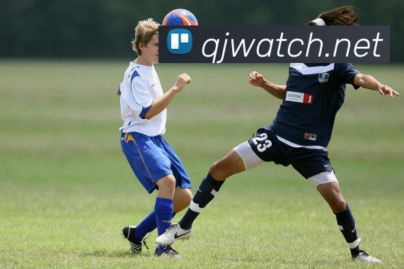 世界杯开户平台服务体系